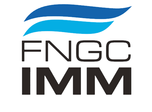 FNGCIMM